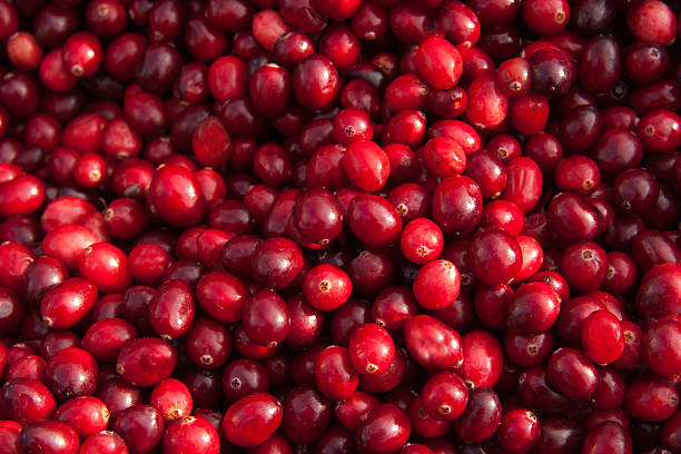 Fresh Cranberry background Fresh Cranberries photographed from directly above. cranberry stock pictures, royalty-free photos & images