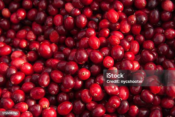 Fresh Cranberry Background Stock Photo - Download Image Now - Cranberry, Backgrounds, Close-up
