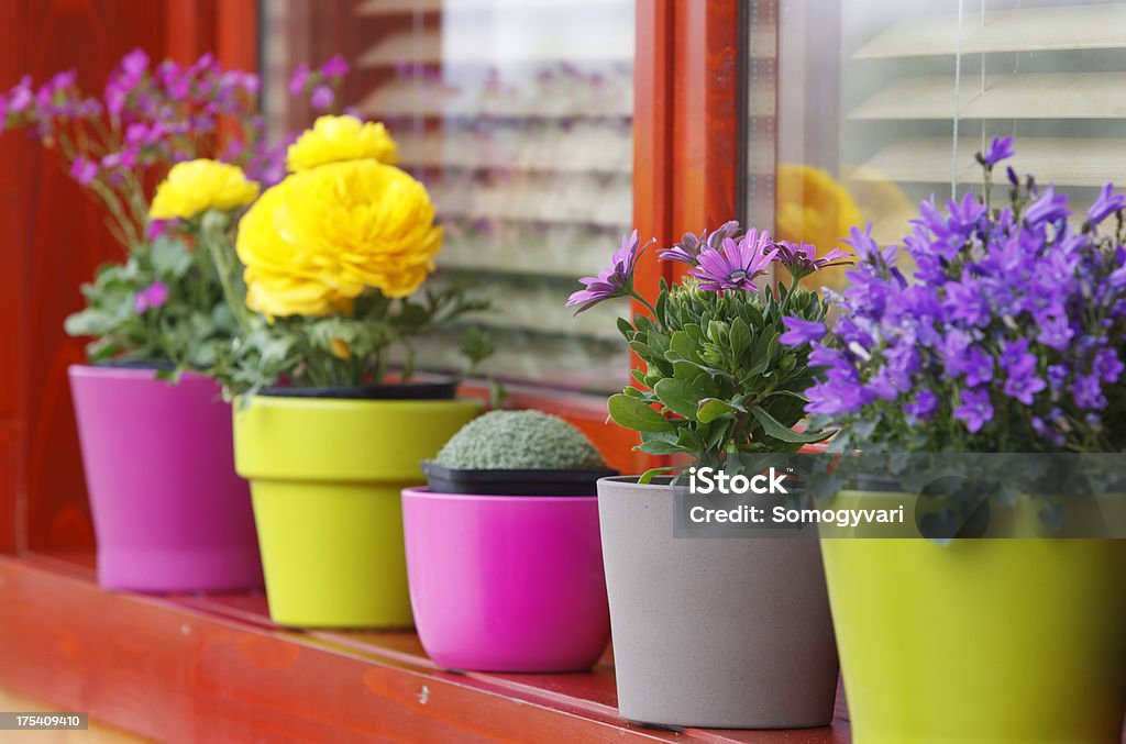 Spring flowers Vivid colors of the spring flowers and pots on a window sill. Shallow DOF. Canon Eos 1D MarkIII.Take a look at my other photos of this serie: Flower Pot Stock Photo