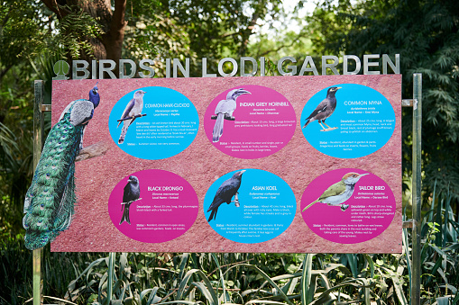 New Delhi, India - 11.11.2022 - Billboard with descriptions of bird species in Lodi Garden city park of New Delhi, birds in Lodi Garden description on pink blue billboard with photos of bird species