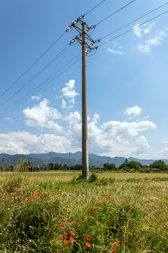 Wooden electric pole standing on the field. Communication. Technology.