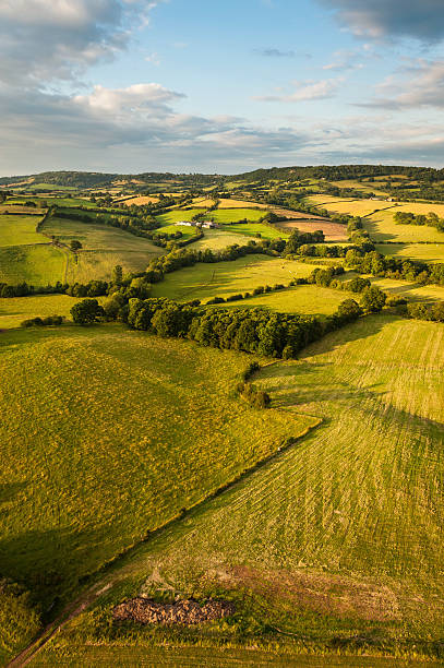 verão paisagem campos verdes colinas - welsh culture wales field hedge - fotografias e filmes do acervo