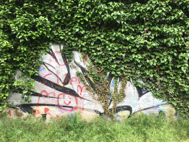 istock Street art of graffit 1754110797
