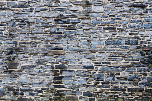 Detail of ivy-type climbing plants on an old stone staircase on the wall of a castle