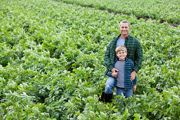 ojciec i syn stojąc na polu roślin ziemniaka - farmer farm family son zdjęcia i obrazy z banku zdjęć