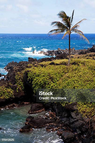 ハワイマウイワイアナパナパ国立公園 - ハワイ諸島のストックフォトや画像を多数ご用意 - ハワイ諸島, マウイ島, マウイ島 ハナ