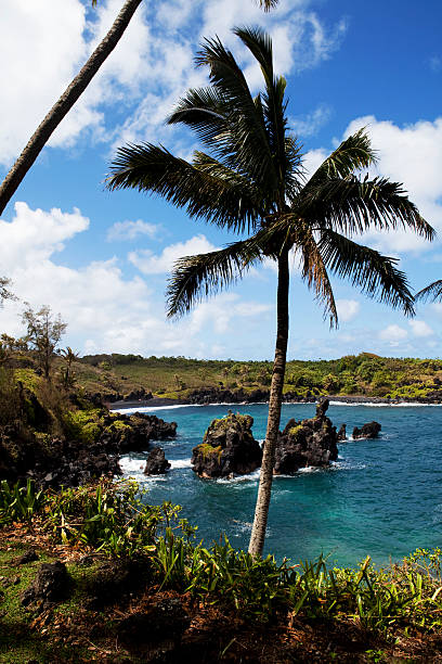 istock Waianapanapa State Park Maui Hawaii 175412530