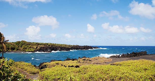 istock Waianapanapa State Park Maui Hawaii 175412560