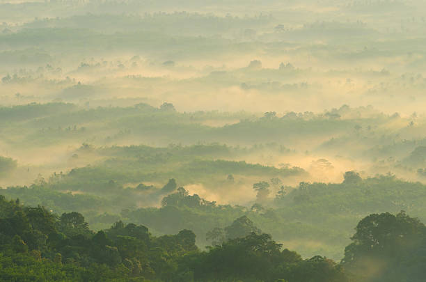 istock Beautiful sunrise at misty morning mountains . 175413141