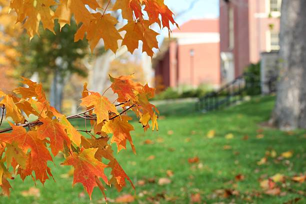 Campus in Autumn Yellow and orange autumn leaves in the foreground with colonial university buildings in the background. midwestern state university stock pictures, royalty-free photos & images