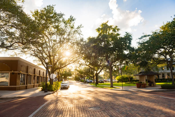 Sun Shining Through Trees on Brick Road in Winter Park Florida