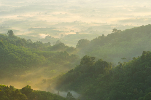 Beautiful sunrise at misty morning mountains .