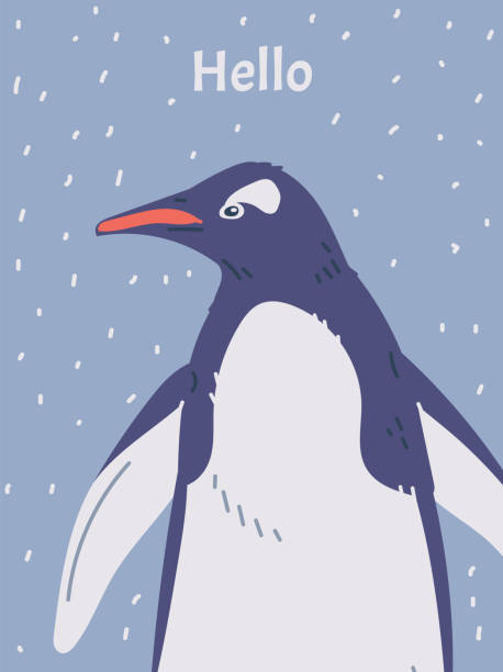 ilustrações de stock, clip art, desenhos animados e ícones de penguin, flightless seabirds of antarctica, cartoon nature pole animal, arctic fauna wild mammal, hello vector poster - color image blue background season animal