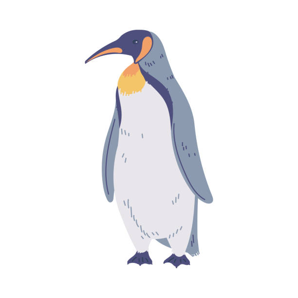 pinguin mit gelbem halsband, großer kaiser- oder königspinguin, flugunfähige seevögel der antarktis, pole-tier-vektor - antarctica penguin ice emperor stock-grafiken, -clipart, -cartoons und -symbole