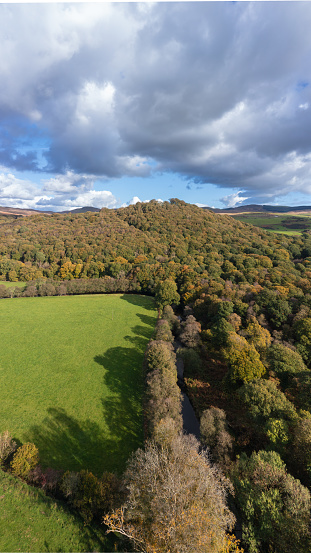 Drone view of woodland in a rural location in Dumfries and Galloway Scotland