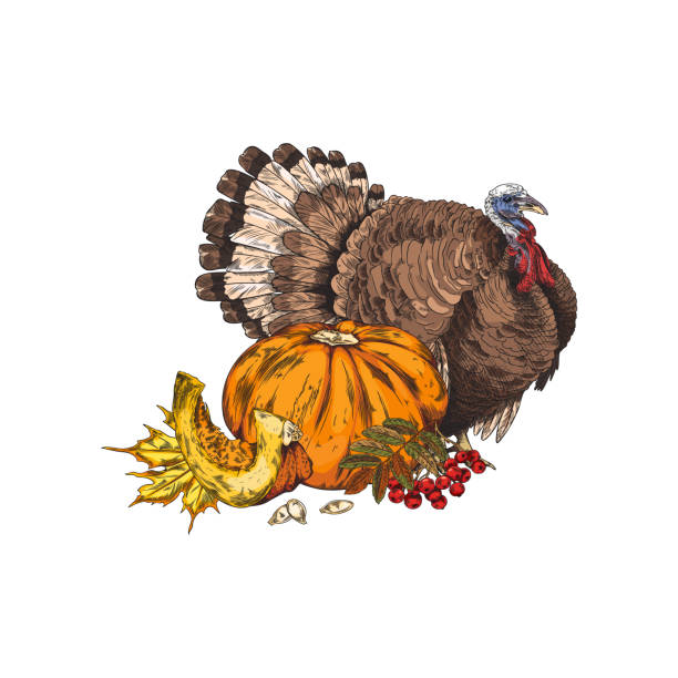 istock Thanksgiving day card with vintage hand drawn symbols sketch. 1754137567