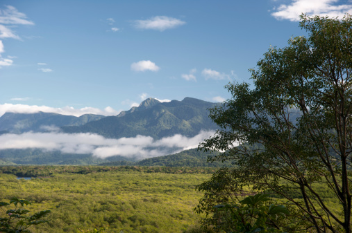 JurAia environmental reserve on the southern coast of SA#o Paulo in Brazil