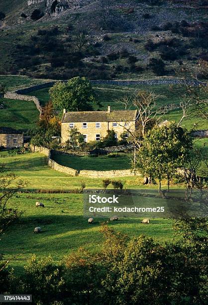 Foto de Parque Nacional Yorkshire Dales e mais fotos de stock de Casa de fazenda - Casa de fazenda, Colina, Ovelha - Mamífero ungulado