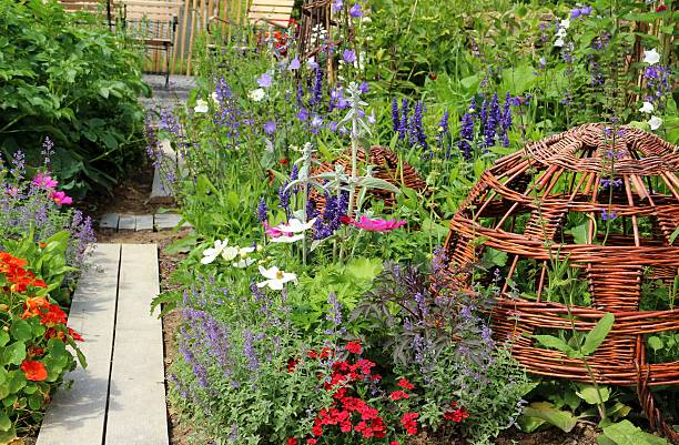 istock Wonderful herb and flower garden 175414565