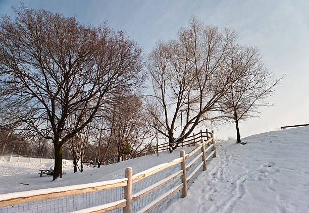 istock Winter in Ontario 175414650