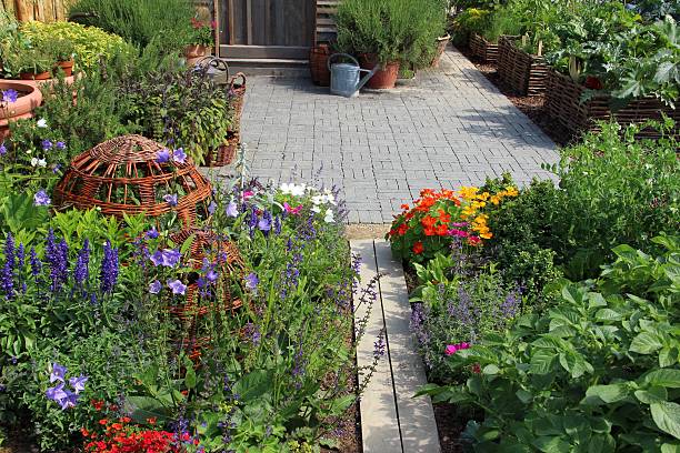 wspaniałe herb i kwiat ogród - bush formal garden boxwood flower bed zdjęcia i obrazy z banku zdjęć