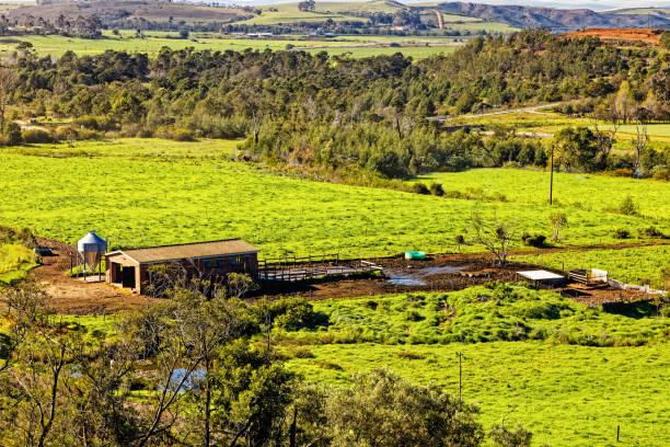 istock Dairy and cattle pen in lush green field 1754149377