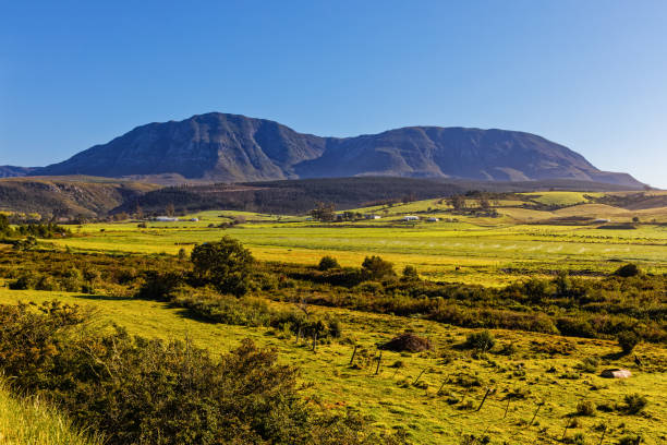 istock Farm lands and mountain in Western Cape 1754151064