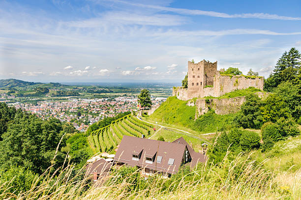 istock Castle ruin on a hill, vineyard and little town 175415161