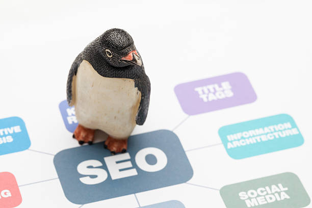 pinguino seo - google penguin foto e immagini stock
