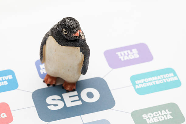 pingwin seo - google penguin zdjęcia i obrazy z banku zdjęć