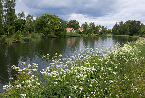 Gota Canal is one of Swedens biggest tourist and recreational attractions.The picture was taken in June when the green vegetation is fresh.