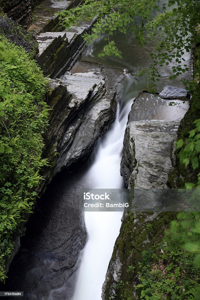 cascade - Photo de Beauté de la nature libre de droits