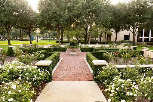 In Winter Park, a sidewalk in the historic downtown Rollins College Campus is lined with formal landscaping and trees.
