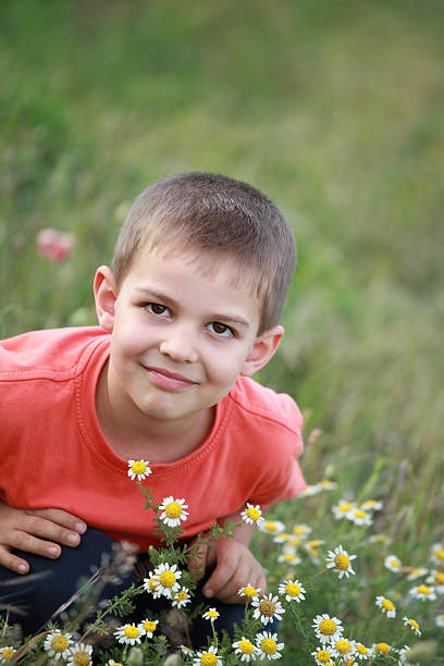 istock Boy smelling chamomile outdoor 175416132