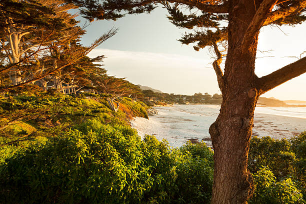 istock Carmel Beach in Carmel-by-the-Sea 175416463