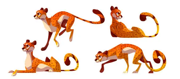 Vector illustration of Set of cheetah character in different poses