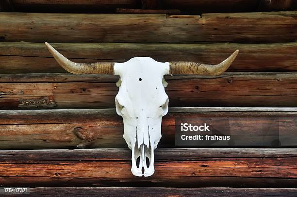 Tierisches Skelett Stockfoto und mehr Bilder von Rind - Rind, Hausrind, Kuh