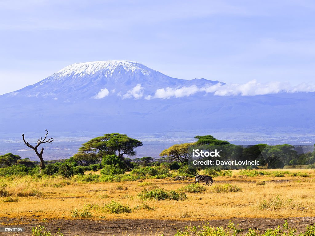 Zebra und dem Kilimandscharo - Lizenzfrei Amboseli-Nationalpark Stock-Foto