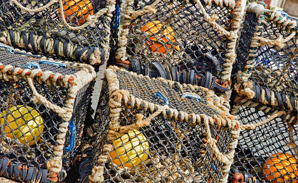 istock Close-up of Stacked Lobster Pots 175417499