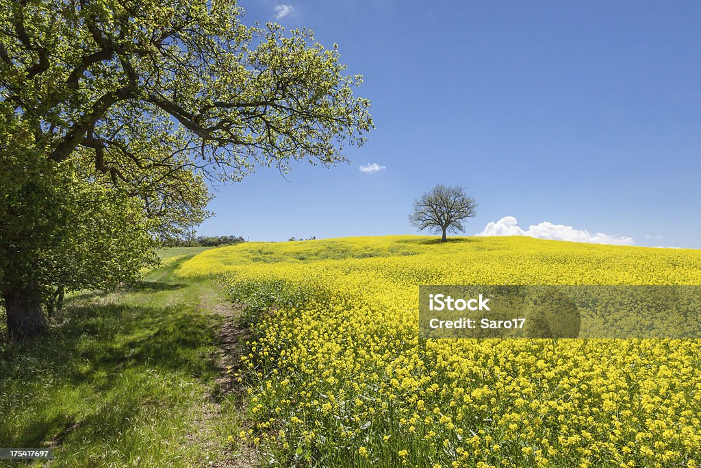 Toscana caminhadas trail - Royalty-free Agricultura Foto de stock