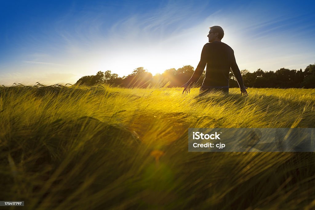 Paisaje de ensueño - Foto de stock de Paisaje no urbano libre de derechos