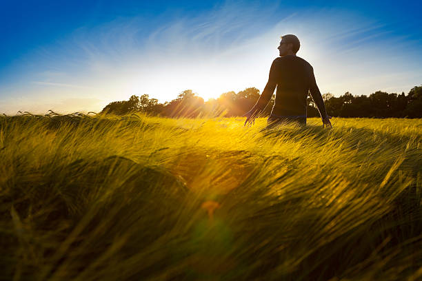Man walking through a glowing field of barley at sunset.