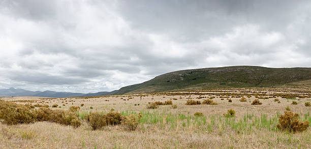 западно-капская пейзаж - south africa cape town panoramic the garden route стоковые фото и изображения