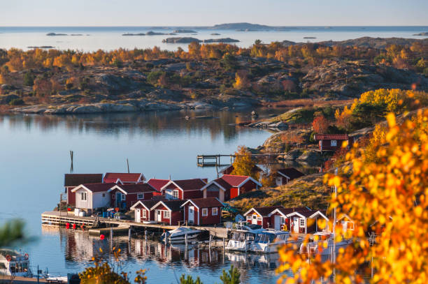 isla en otoño. horizonte sobre agua - sueco fotografías e imágenes de stock