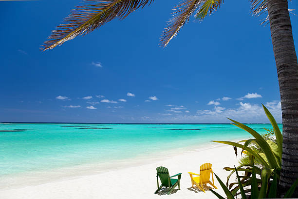 Pink sands beach resort ground with view of the ocean and palm trees.