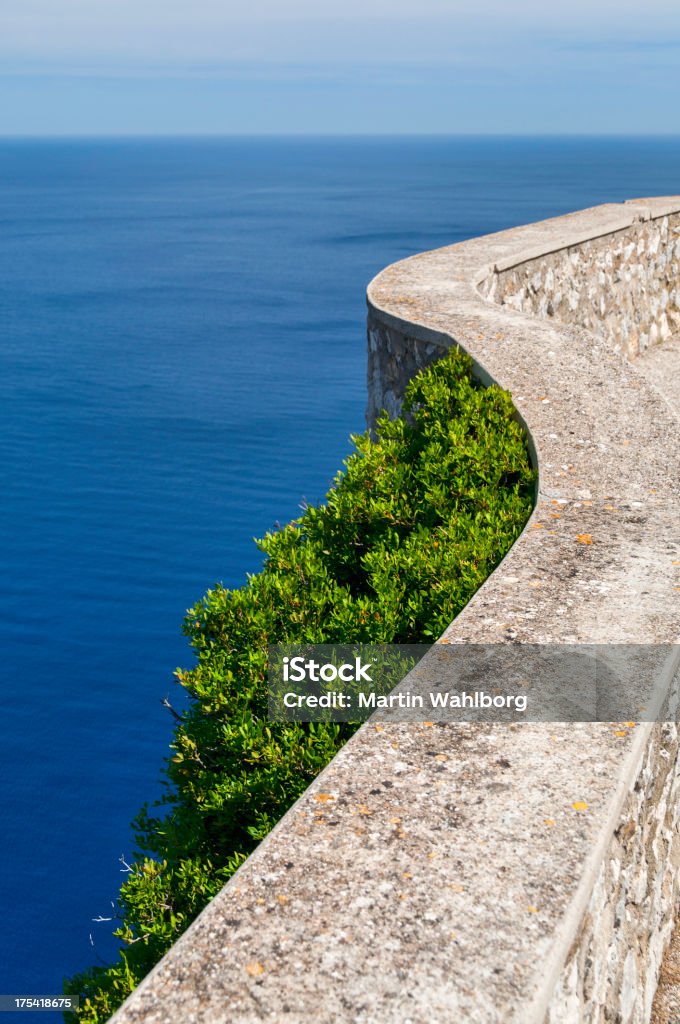 Formentor parede - Foto de stock de Arbusto royalty-free