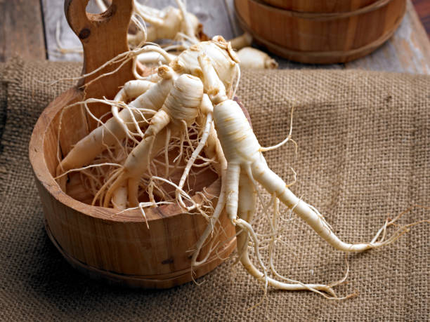 ginseng - ginseng fotografías e imágenes de stock