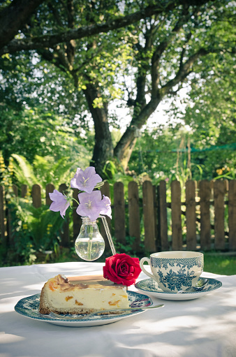 Coffee break in the garden in summer.