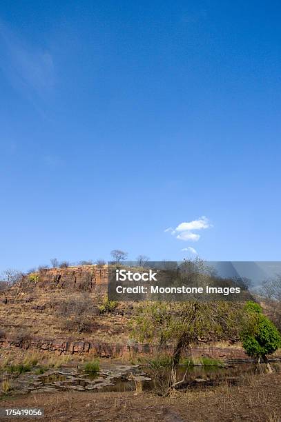 Ranthambhore Np In Rajasthan India Stock Photo - Download Image Now - Asia, Asia Pac, Beauty In Nature