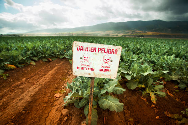 pesticide sie ein warnsignal auf dem fruchtbaren landwirtschaftlichen nutzflächen - salinas stock-fotos und bilder